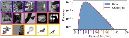 Learning normalized image densities via dual score matching