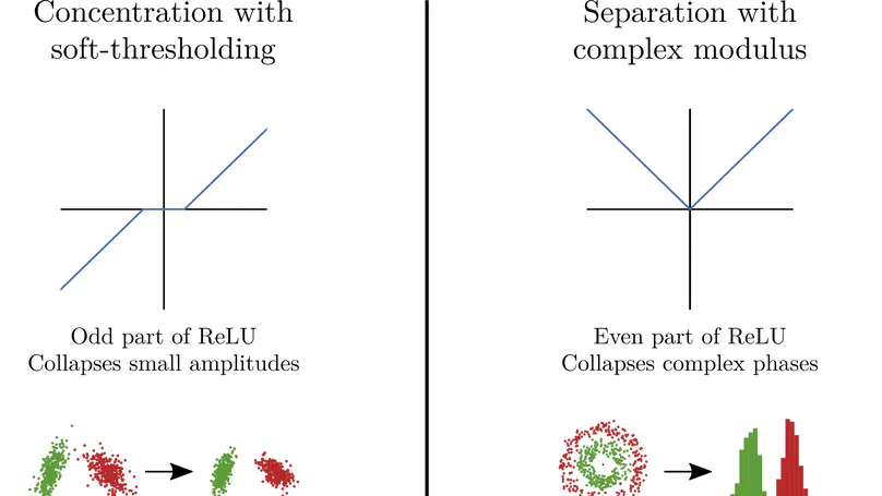 Phase collapse in neural networks