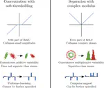Phase collapse in neural networks
